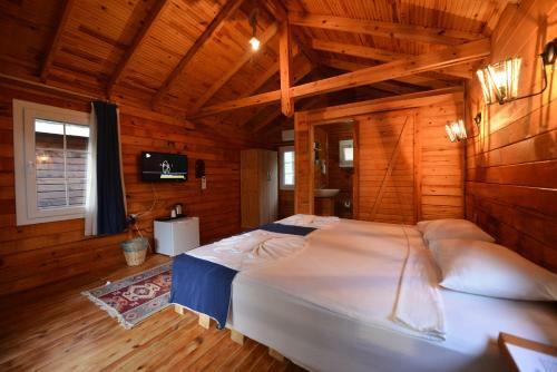 Hotel Green Pine Bungalows & Beach Luxury Concept