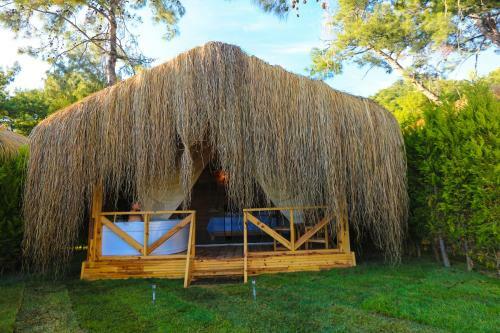 Hotel Green Pine Bungalows & Beach Luxury Concept
