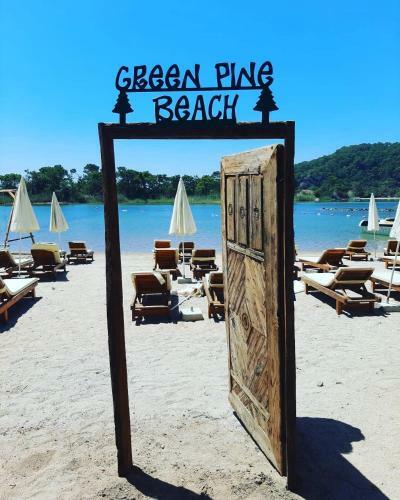 Hotel Green Pine Bungalows & Beach Luxury Concept