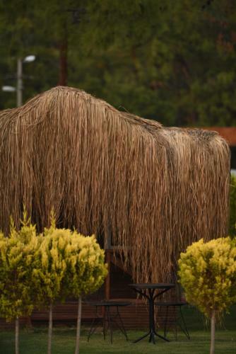 Hotel Green Pine Bungalows & Beach Luxury Concept