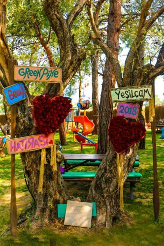 Hotel Green Pine Bungalows & Beach Luxury Concept