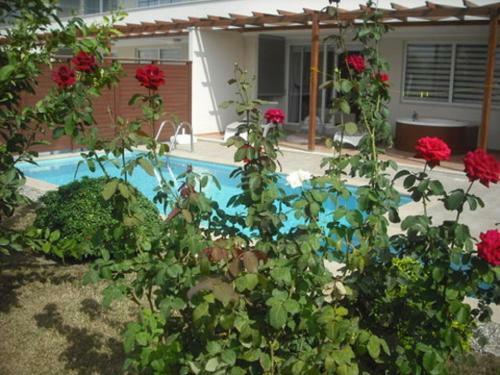 Apartamento Babylon Bliss Is A Unique 3 Bed 3 Bath Duplex Home With Its Own Private Pool
