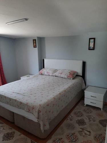 Apartamento Viking House