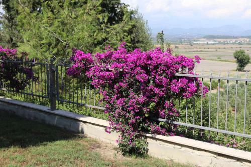 Apartamento Four Seasons. Ilicia. Side