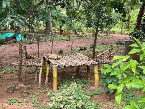 Namya Farm