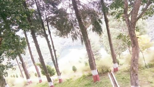 Hotel Luxus Nainital Adventure Park & Resort