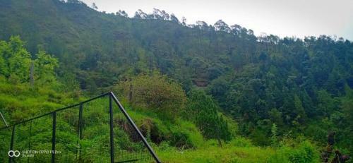Hotel Hill Cottage, Khurpatal, Nainital