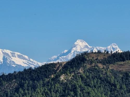 Lodge Aarish- Your Mountain Home !