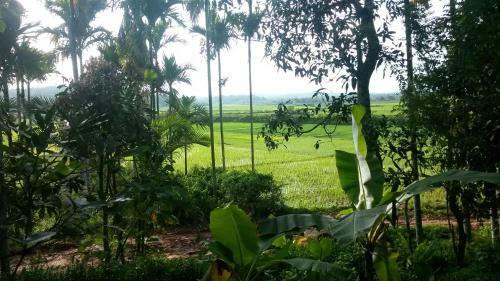 Apartamento Wayal Wayanad Heritage Villa