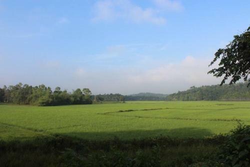 Wayal Wayanad Twin Villa
