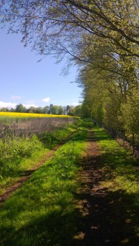 Old Farm Holiday Cottages (scottish Borders)
