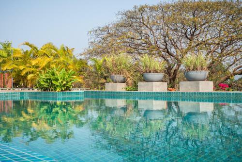 El - Arbol Apartments