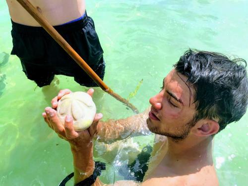 If You Need Me, Call My Shell Phone