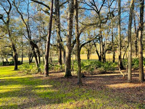 Green House River Ranch