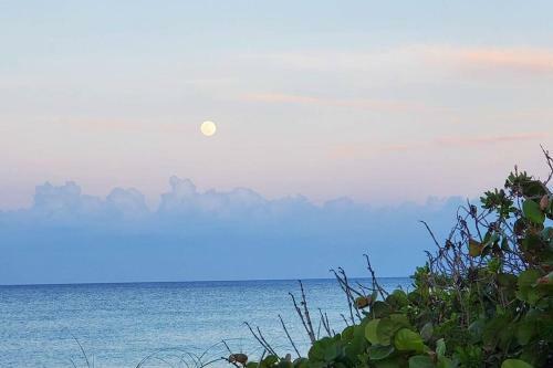 Rustic Beach Front Home - 6 Bedrooms - Private Beach Access - Large Groups