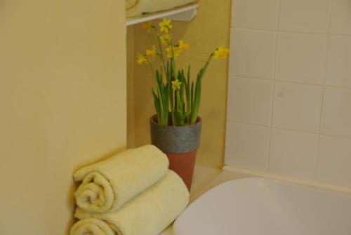 Bed & Breakfast Tresco House