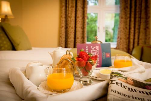 Glen-yr-afon House Hotel