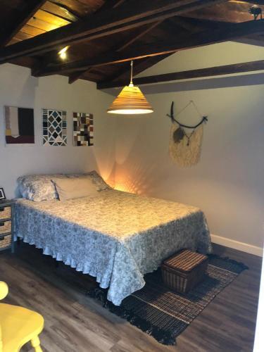 Apartamento V - Private Studio Cabin Steps From Calle 8 (Ap 5)