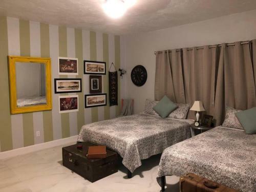 G - Spacious And Comfy Suite Near Mia (Apt 6)