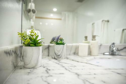 Apartamento Modern And Luxurious Brickell Studio
