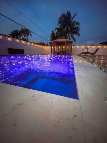 Miami Paradise