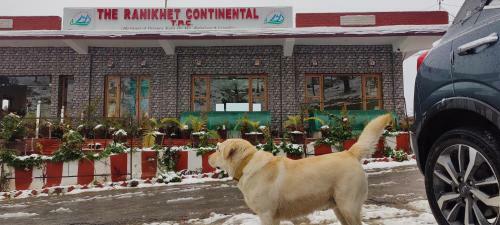 Hotel The Ranikhet Continental