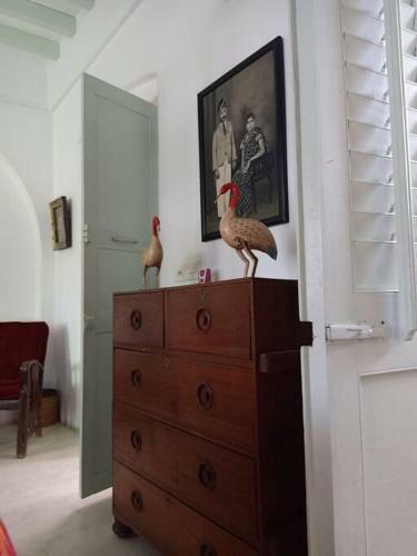Villa Lally Rose Pondicherry