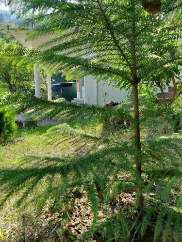 Bairangna Homestay