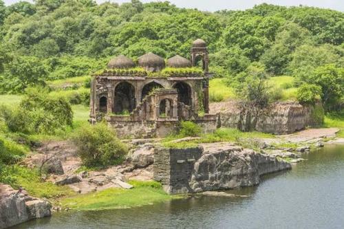 Ranthambore Nature Camp