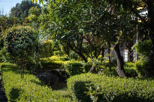 Hotel Mvt Guesthouse & Restaurant (Rishikesh)