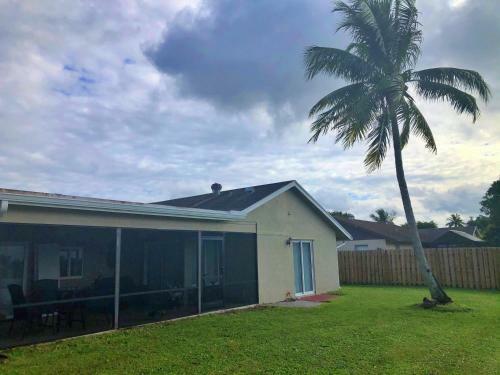 Lazy Palms