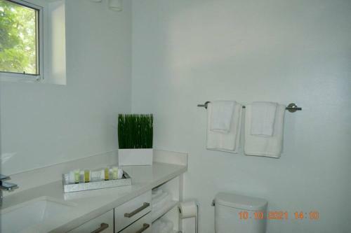 Ocean Front Contemporary 3 Bedroom Townhouse.
