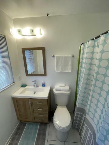 Beautiful St Pete Florida - Large 3 Bed 2 Bath