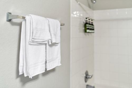 Apartamento Kasa Wellington Green