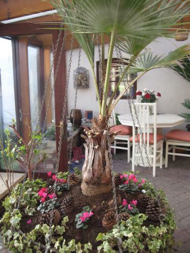 Woodshoot B&B