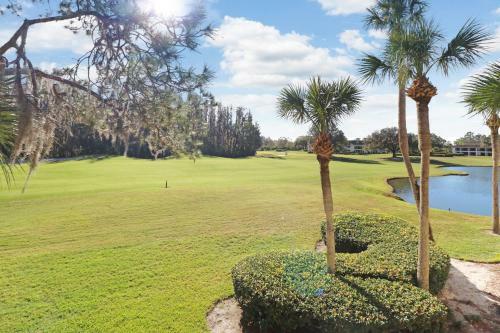 Apartamento Saddlebrook Golf Course View Condo With Kitchen