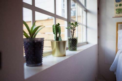 Apartamento The Little Pink Guest Suite