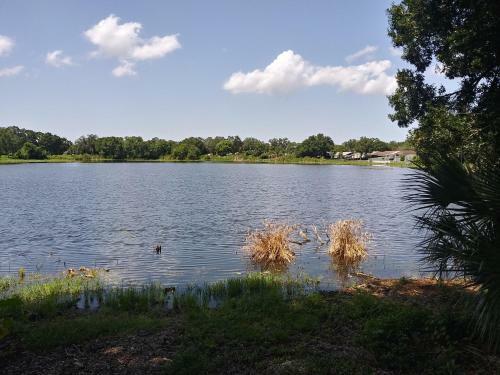 Tampa Citrus Park