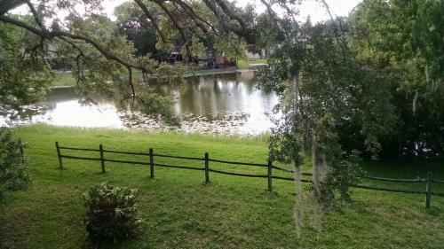 Tampa Lakehouse