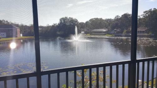 Apartamento Beautiful Condo Close To Busch Gardens