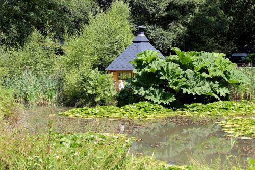 Bed & Breakfast Chycara