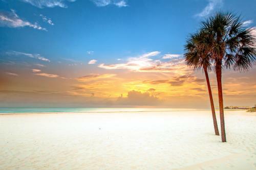 The Palm #8