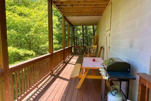 Beary Cozy Hideaway Awesome Secluded View-firepit