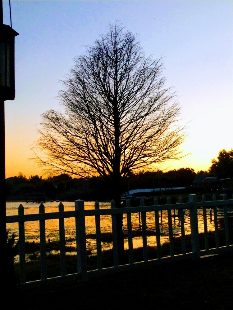 Hostal Lakefront Suites