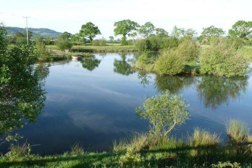Bed & Breakfast Spillers Farm