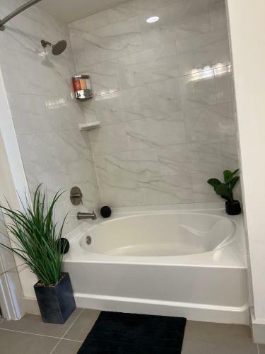 Apartamento Exclusive 2br/2ba-perfect Location