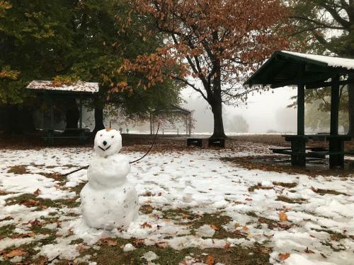 Number 78 - Tumbarumba