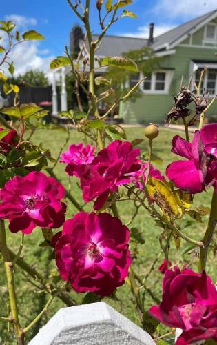 Bed & Breakfast Clover Cottage Uralla