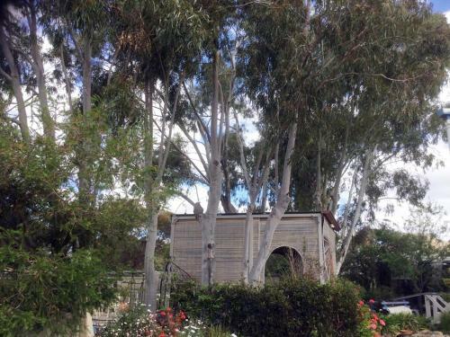 Wagin Cottage Garden Bed And Breakfast