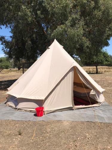 Mariam Glamping Holiday